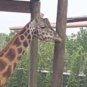 Meet your Posher, Mark